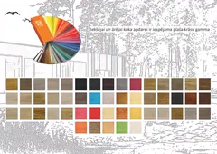 19. lapa
